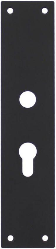 Intersteel Schild renovatie rechthoekig 250 x 55mm x 2mm PC55mm RVS mat zwart