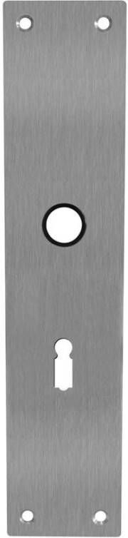 Intersteel Schild renovatie rechthoekig 250 x 55mm x 2mm sleutelgat 56mm RVS