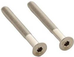 Intersteel Set van 2 bouten 6-kant M5x48mm rvs