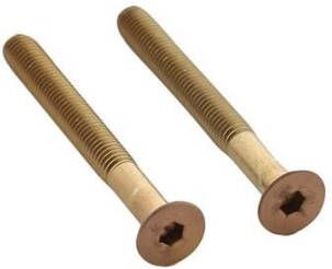 Intersteel Set van 2 bouten 6-kant M5x48mm rvs PVD koper mat