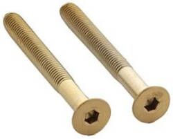 Intersteel Set van 2 bouten 6-kant M5x48mm rvs PVD messing mat