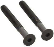 Intersteel Set van 2 bouten 6-kant M5x48mm rvs PVD zwart