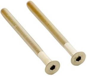 Intersteel Set van 2 bouten 6-kant M5x65mm rvs PVD messing mat
