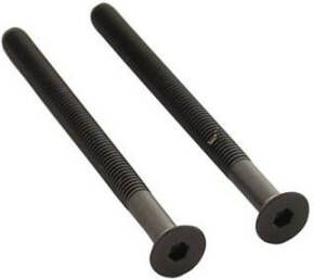 Intersteel Set van 2 bouten zeskant M5x65mm RV