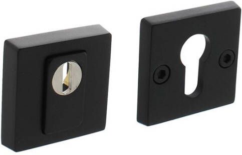 Intersteel SKG3 PC ROZET RVS 1223375570