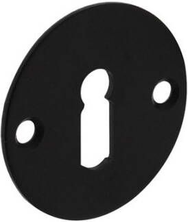 Intersteel SLEUTELPLAAT 50X2MM RVS ZWART