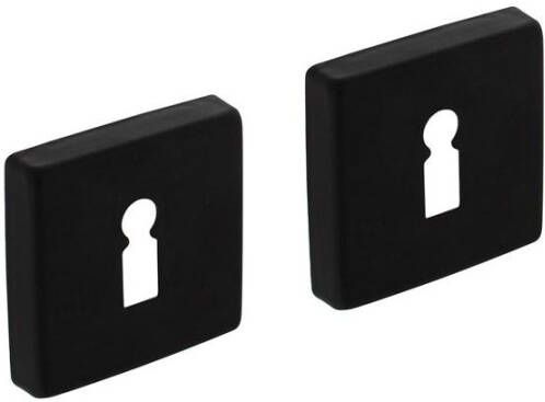 Intersteel Sleutelrozetten verdekt 50x50x10mm met nokken zwart