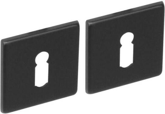 Intersteel Sleutelrozetten verdekt 50x50x5mm structuur zwart