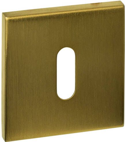 Intersteel Sleutelrozetten verdekt 53x53x6mm PVD messing mat