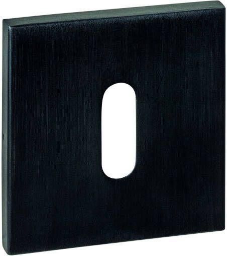 Intersteel Sleutelrozetten verdekt 53x53x6mm PVD zwart