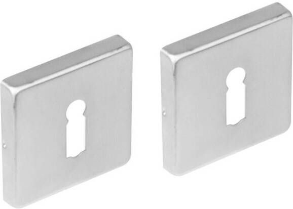 Intersteel Sleutelrozetten verdekt 53x53x8mm met nokken rvs