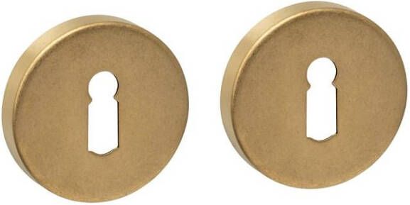 Intersteel Sleutelrozetten verdekt ø53x9mm PVD messing getrommeld