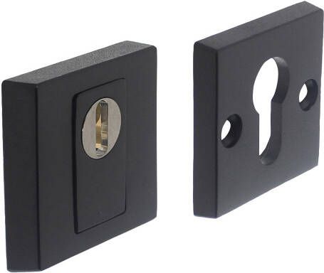 Intersteel Veiligheidsrozet SKG3 met KTB mat zwart