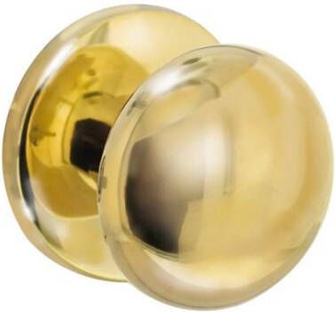 Intersteel Voordeurknop Paddenstoel mess. ongelakt