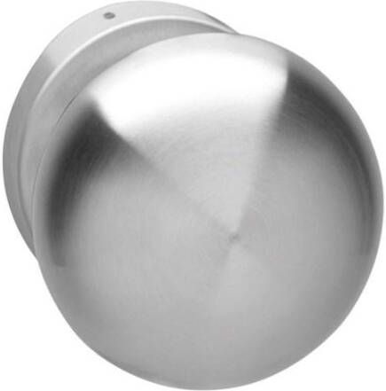 Intersteel Voordeurknop paddestoel vast op rozet rvs