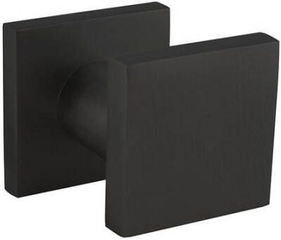 Intersteel Voordeurknop vierkant 60x60mm verkropt op achterplaat 60x60mm met éénzijdige montage aluminium zwa