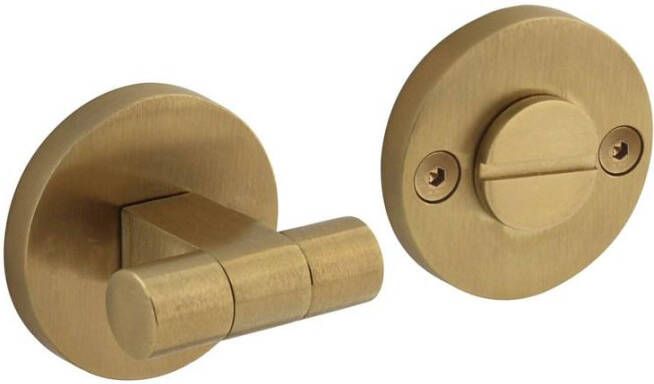 Intersteel WC-sluiting éénzijdig verdekt ø55x8mm met stift 8x8mm knop op verdekte rozet PVD messing mat