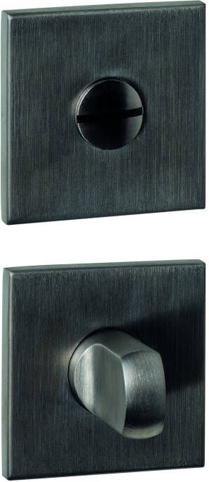 Intersteel WC-sluiting verdekt 53x53x6mm met stift 6-8mm PVD antraciet