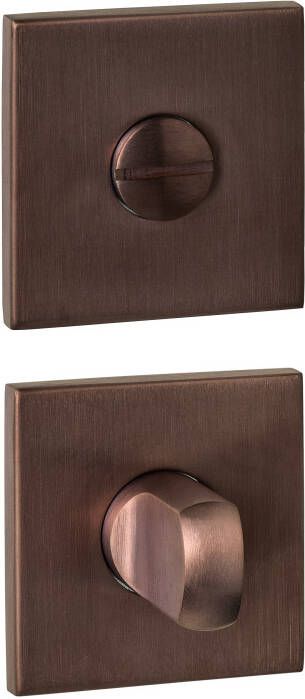 Intersteel WC-sluiting verdekt 53x53x6mm met stift 6-8mm PVD brons