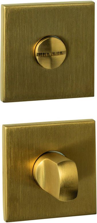 Intersteel WC-sluiting verdekt 53x53x6mm met stift 6-8mm PVD messing mat