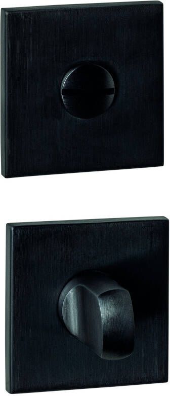 Intersteel WC-sluiting verdekt 53x53x6mm met stift 6-8mm PVD zwart