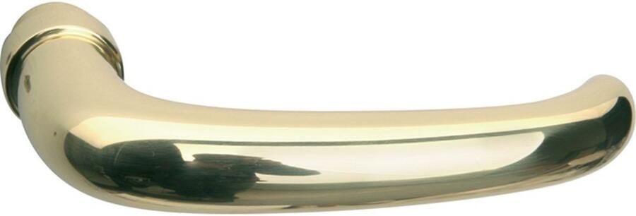 Mi Satori Gatdeel RS Halfsabel MGG