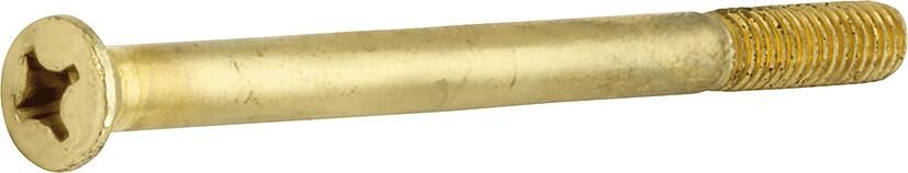 Mi Satori Metaalschroef LK M6x65mm MGG