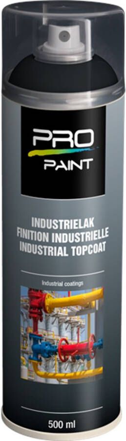 PRO-Paint Industriele lak zwart grijs RAL7021Hg (500ml)