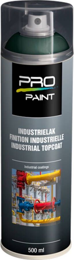 PRO-Paint PP Color Spray Dennengroen RAL6009 HG (500ml)