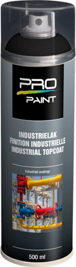 PRO-Paint Spuitverf Diepzwart mat RAL9005 (500ml)