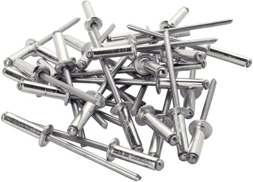 Rapid Standaard blindklinknagels Ø3 2 x 8 mm 100 stuks 5000377