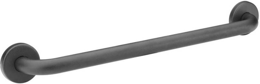 SecuCare WANDBEUGEL 45CM RVS 25 ZW ART