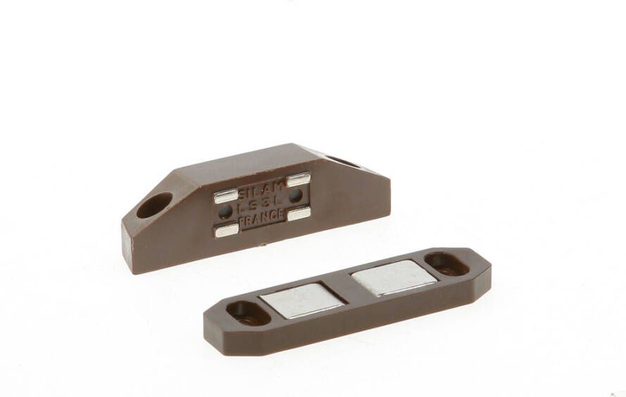 Silam monin Silam magn.snapslot bruinls3