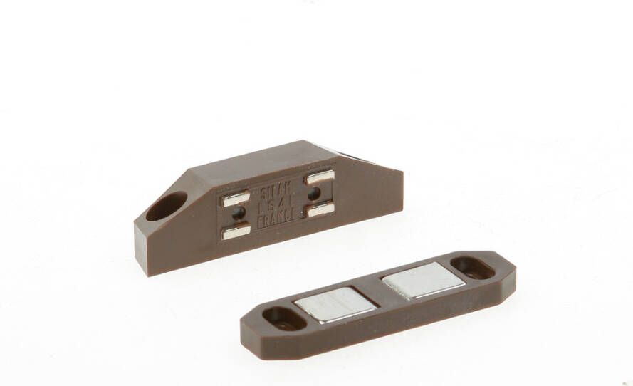 Silam monin Silam magn.snapslot bruinls4