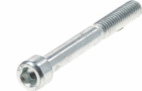 Theuma schroef cilinderkop M6x47 muurdikte100
