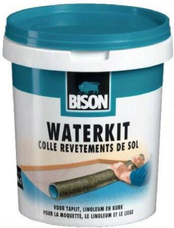 BISON Waterkit 1kg Pot | Mtools