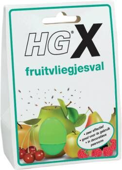 HG X Fruitvliegjesval 10640479