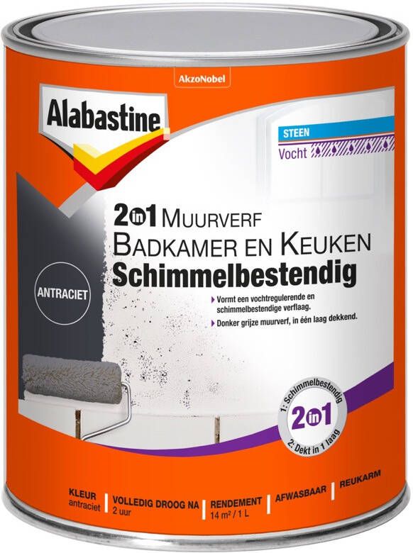 Alabastine 2In1 Muurverf B&K Antraciet 1L 5256778