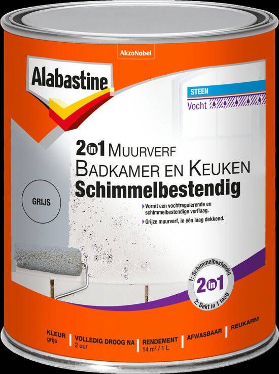 Alabastine 2In1 Muurverf B&K Grijs 1L 5256777