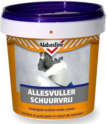 Alabastine Ext Allesvuller Steen 600Ml 5095969