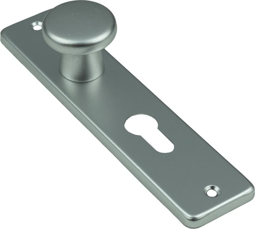AMI Knop 160 40 Vast Kortschild 165 4 RH Profielcilinder 55 F1 310154