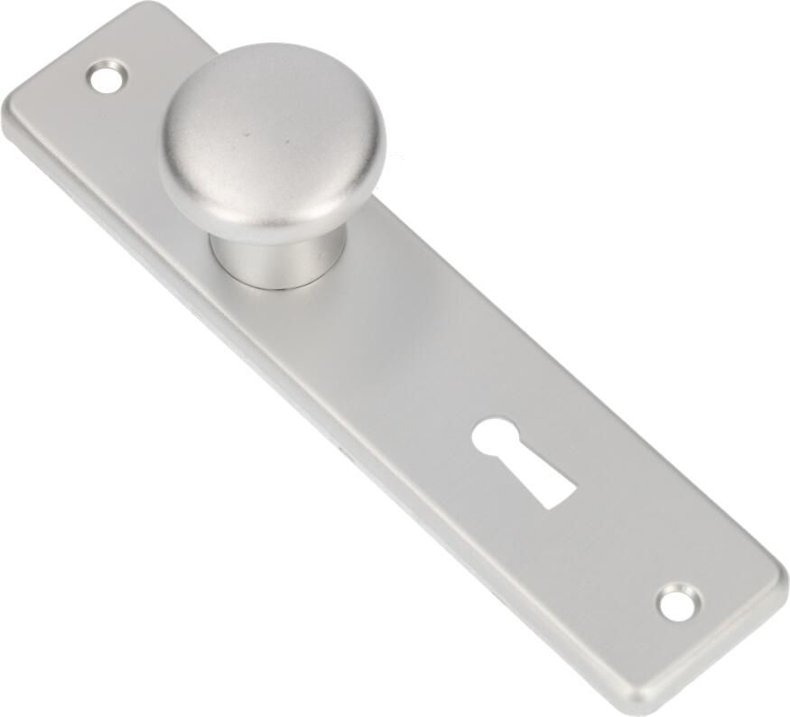 AMI Knop 160 40 Vast Kortschild 165 4 RH Sl 56 F1 310152