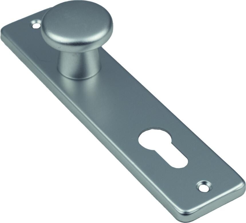 AMI Knop 160 40 Vast Kortschild 180 41 RH Profielcilinder 72 F1 318816