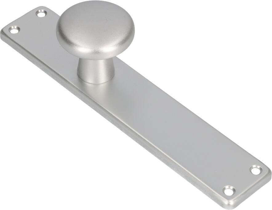 AMI Knop 160 50 Vast Langschild 212 41 RH Blind F1 313791