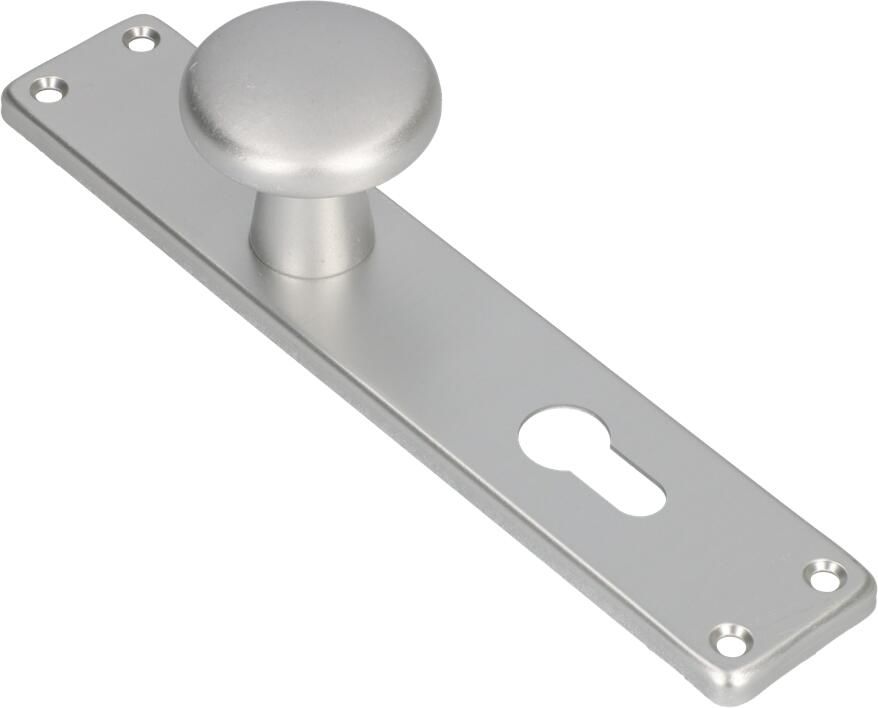 AMI Knop 160 50 Vast Langschild 212 41 RH Profielcilinder 72 F1 313796