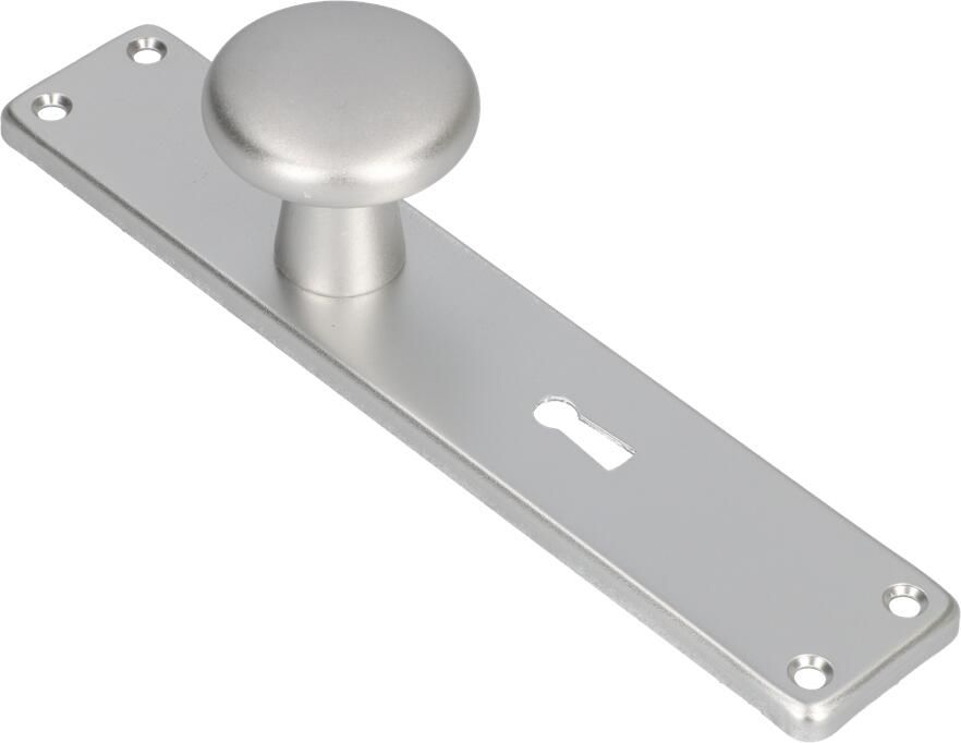 AMI Knop 160 50 Vast Langschild 212 41 RH Sl 56 F1 313792