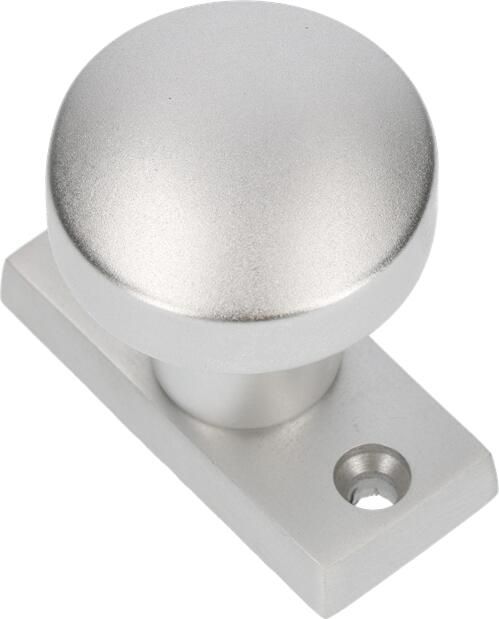 AMI Knop 169 50 Vast 65 30 R6.5 Hoh.43 Mm. F-1 538121