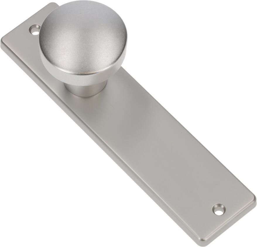 AMI Knop 169 50 Vast Kortschild 178 43 Profielcilinder 55 F1 322964