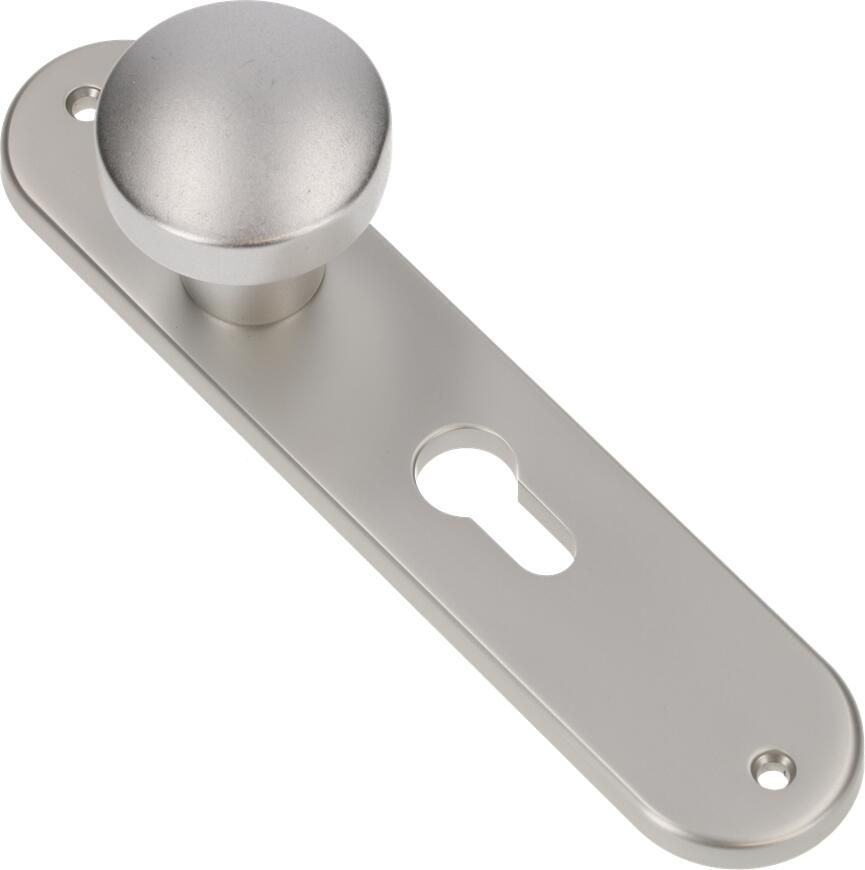 AMI Knop 169 50 Vast Langschild 200 1 7 Profielcilinder 55 F1 322974