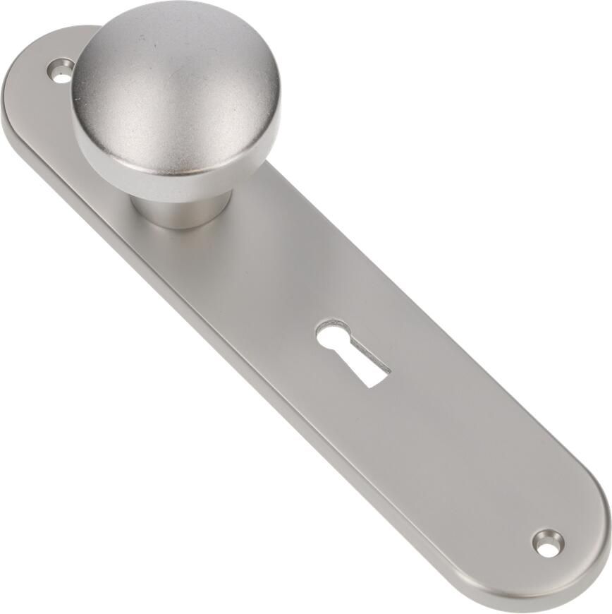 AMI Knop 169 50 Vast Langschild 200 1 7 Sl 72 F1 322973